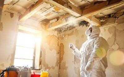 Protect Your Property: The Benefits of Professional Asbestos Abatement Services
