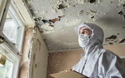 The Importance of Asbestos Inspections: Protecting Your Home and Health