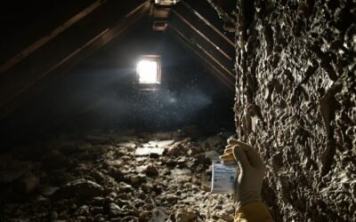 Is Your Home Safe? Why Asbestos Testing Should Be a Top Priority