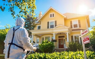 How Asbestos Abatement Can Increase the Value of Your Property – Here’s Why