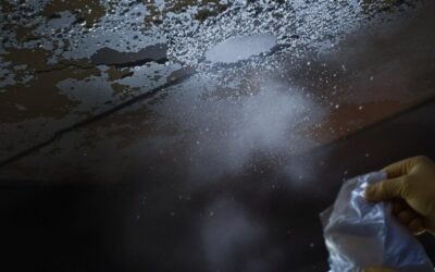 Is Your Home Safe? Discover the Hidden Dangers of Asbestos and How Abatement Can Protect You