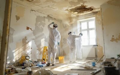 Asbestos Removal 101: The Essential Guide to Keeping Your Property Safe