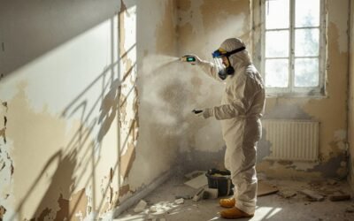 Why Asbestos Testing Is Crucial Before Renovating or Buying a Property