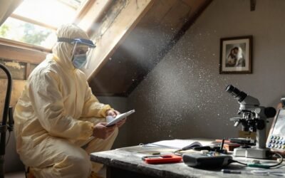 How an Asbestos Inspection Can Save You Thousands in Future Repairs