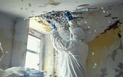Don’t Risk It! Why Asbestos Abatement Should Be Your Top Priority