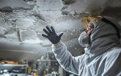 The Top Reasons to Hire Professionals for Asbestos Removal (Hint: It’s Safer)